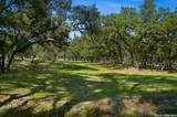 28337 Leslie Pfeiffer Dr - Photo 40