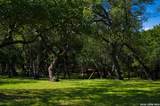 28337 Leslie Pfeiffer Dr - Photo 42