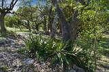 28337 Leslie Pfeiffer Dr - Photo 43