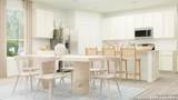 6923 Flores Rd - Photo 13