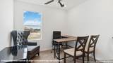 2056 Giant Cactus - Photo 17