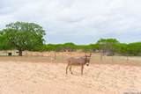 2948 Fm 1922 - Photo 34