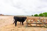 2948 Fm 1922 - Photo 39