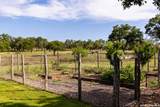 4205 Fredericksburg Rd - Photo 41