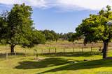 4205 Fredericksburg Rd - Photo 43