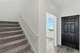 973 Heartseed Ave - Photo 16
