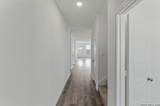 973 Heartseed Ave - Photo 3