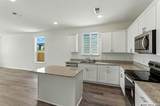 973 Heartseed Ave - Photo 6