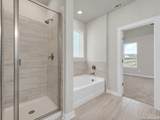 6418 Monarch Trace - Photo 14