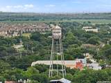 1554 Gruene Rd - Photo 25