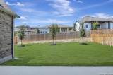 27511 Moonglade Rd - Photo 10