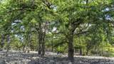 200 Skippin Stone Ln - Photo 55