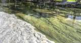 200 Skippin Stone Ln - Photo 57