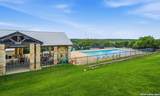 24219 Bear Mtn - Photo 46