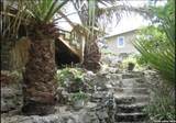 310 County Road 263 - Photo 8