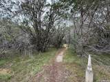 28799 Us Highway 83 - Photo 35