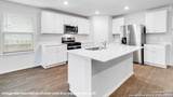 119 Purple Carib - Photo 6