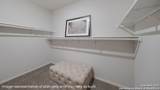 231 Violet Sylph - Photo 22