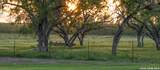 580 Fm 1332 - Photo 6