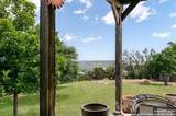 260 Chinaberry Lane - Photo 3