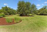 349 Menger Springs - Photo 49