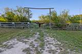 6611 Tigre Rd. - Photo 3