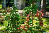 217 Wild Horse - Photo 14