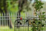 217 Wild Horse - Photo 15
