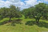 217 Wild Horse - Photo 18