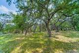 356 Warbler - Photo 25