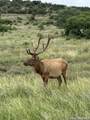 151 Kudu Cv - Photo 46