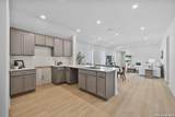 4951 Don Julio - Photo 6