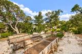 359 Ash Juniper - Photo 88