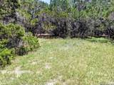 2565 Rocky Ridge Loop - Photo 24