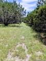 2565 Rocky Ridge Loop - Photo 26