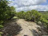 18806 Canyon View Pass - Photo 40