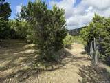 18806 Canyon View Pass - Photo 47