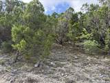 18806 Canyon View Pass - Photo 48
