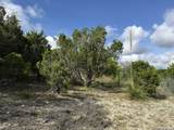 18806 Canyon View Pass - Photo 51