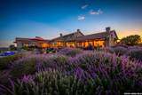 250 Hidden Hills Ranch - Photo 3