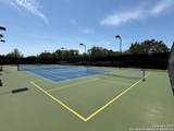 4419 Tapia - Photo 42
