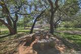 830 Palomino Lane - Photo 10