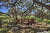 830 Palomino Lane - Photo 15