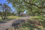 830 Palomino Lane - Photo 8
