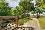 11914 Latour Valley - Photo 46