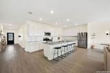 32346 Star Anise Way - Photo 13