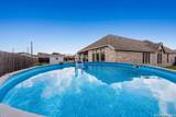 30667 Horseshoe Path - Photo 23