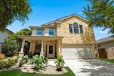 802 Celosia - Photo 1