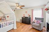 802 Celosia - Photo 17