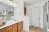802 Celosia - Photo 20